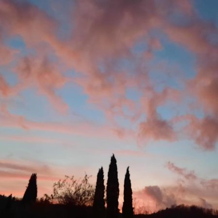 Al Piccolo Ulivo, A Casa Di Mimo&Se Villa Castiglione d'Orcia Luaran gambar