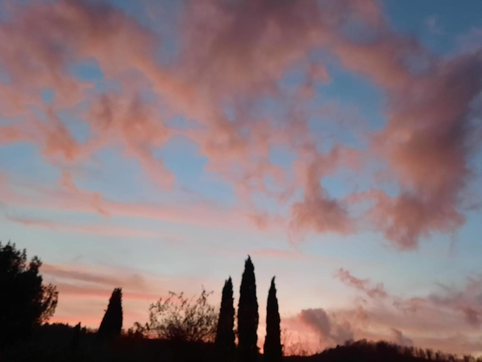 Al Piccolo Ulivo, A Casa Di Mimo&Se Villa Castiglione d'Orcia Luaran gambar