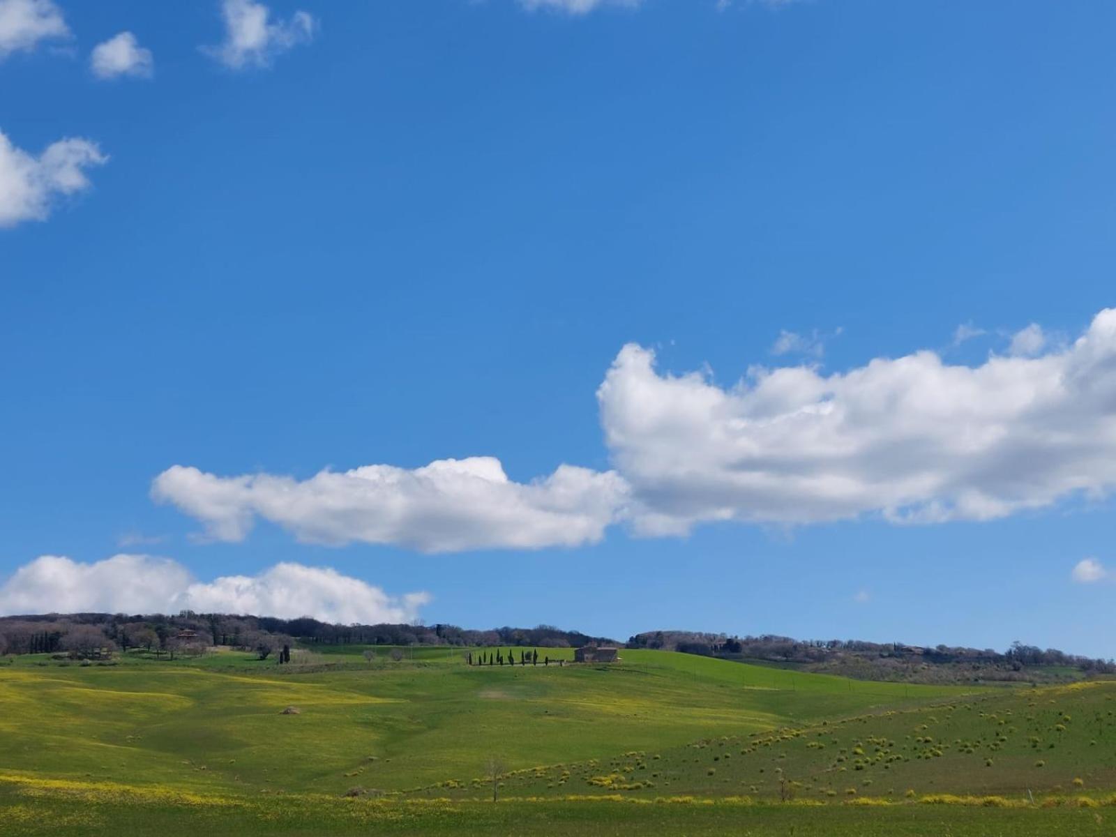 Al Piccolo Ulivo, A Casa Di Mimo&Se Villa Castiglione d'Orcia Luaran gambar
