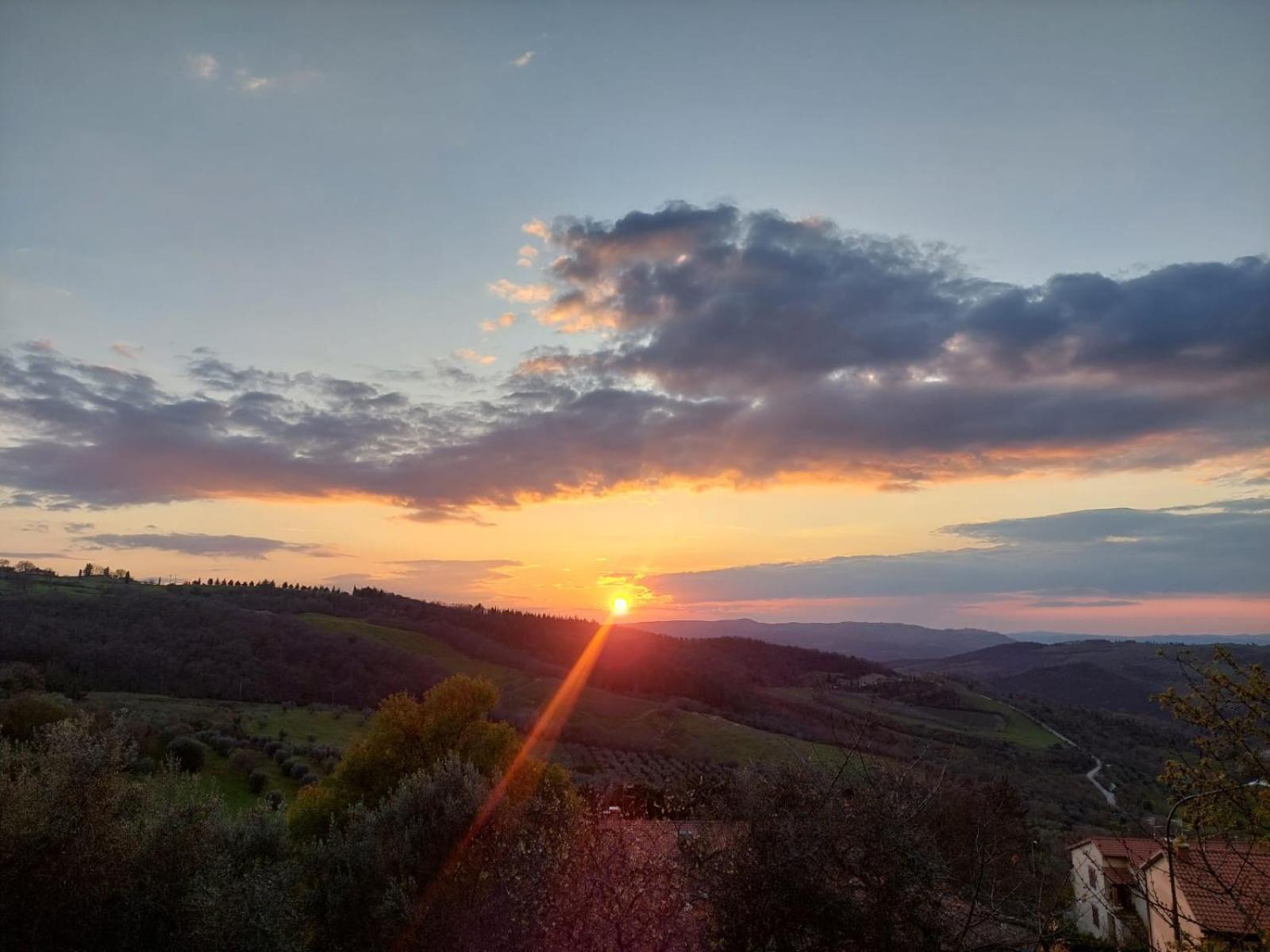 Al Piccolo Ulivo, A Casa Di Mimo&Se Villa Castiglione d'Orcia Luaran gambar