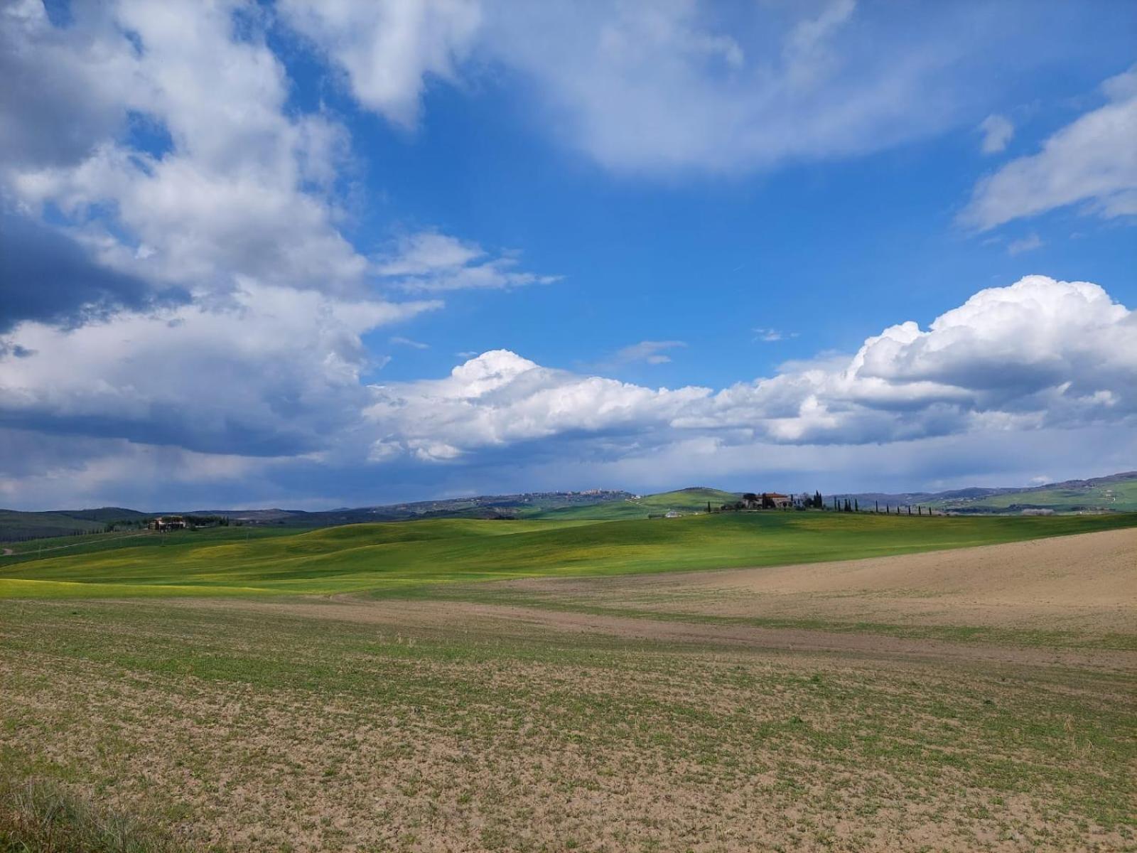 Al Piccolo Ulivo, A Casa Di Mimo&Se Villa Castiglione d'Orcia Luaran gambar