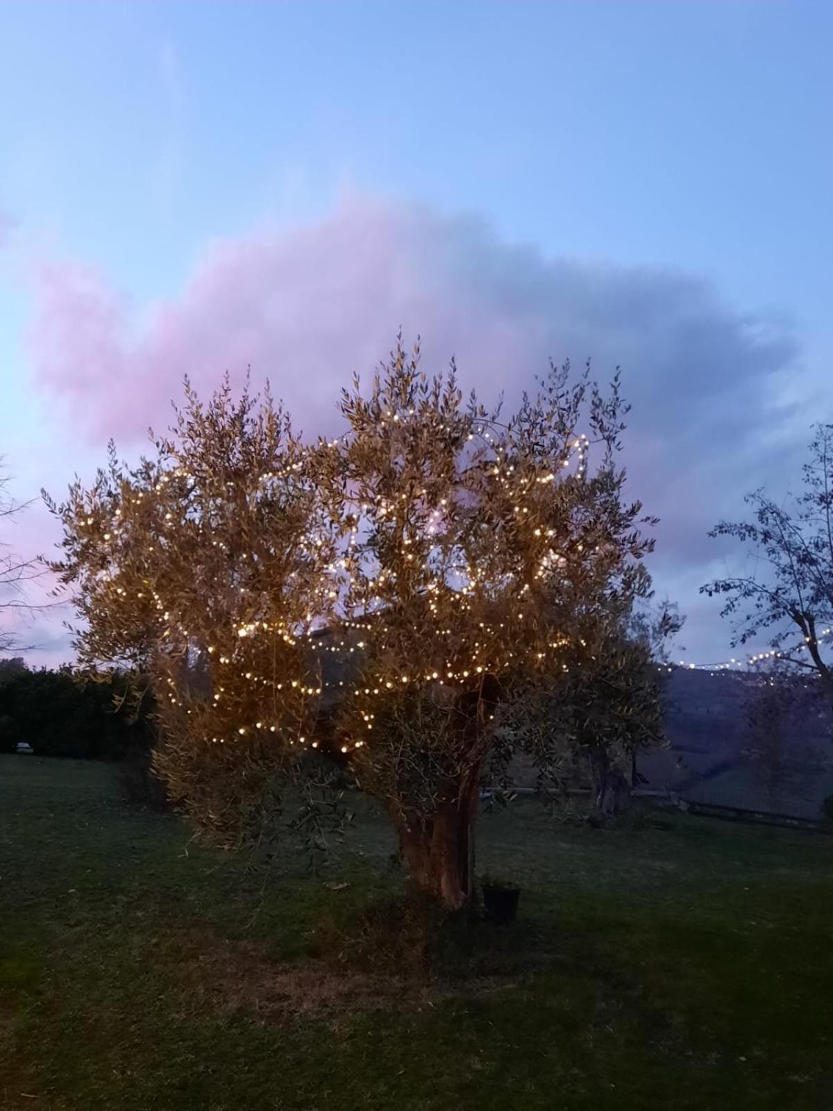 Al Piccolo Ulivo, A Casa Di Mimo&Se Villa Castiglione d'Orcia Luaran gambar