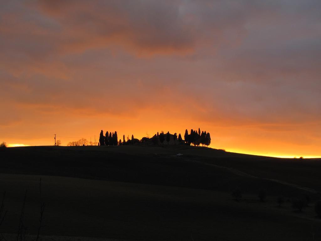 Al Piccolo Ulivo, A Casa Di Mimo&Se Villa Castiglione d'Orcia Luaran gambar