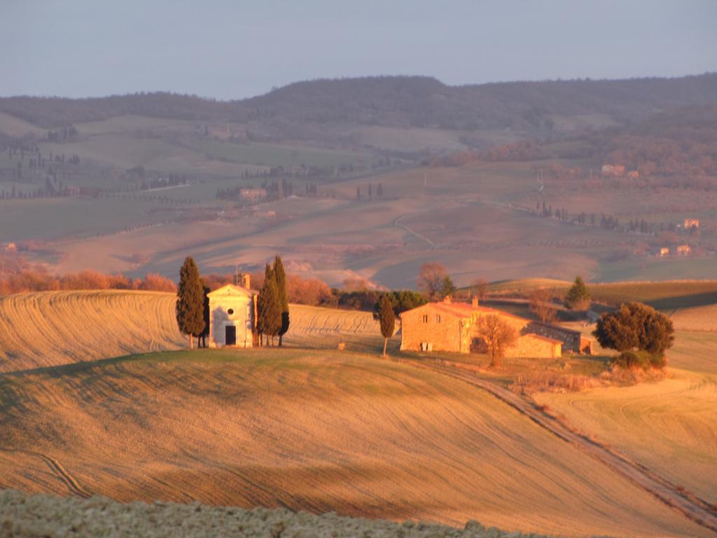 Al Piccolo Ulivo, A Casa Di Mimo&Se Villa Castiglione d'Orcia Luaran gambar