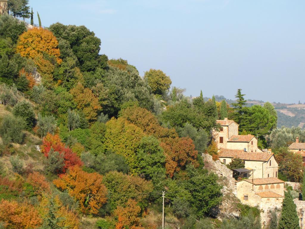 Al Piccolo Ulivo, A Casa Di Mimo&Se Villa Castiglione d'Orcia Luaran gambar
